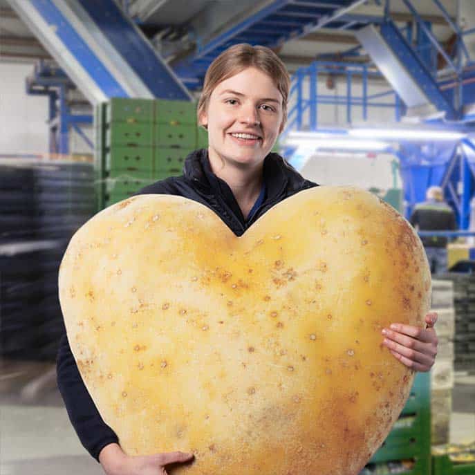 Quiks Quality Potatoes medewerker met kartonnen aardappelhart