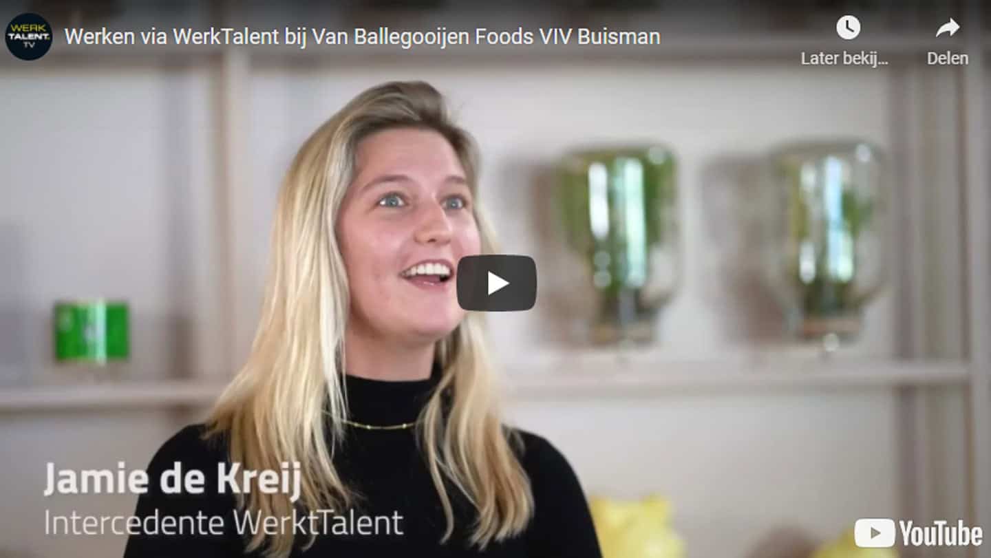 WerkTalent