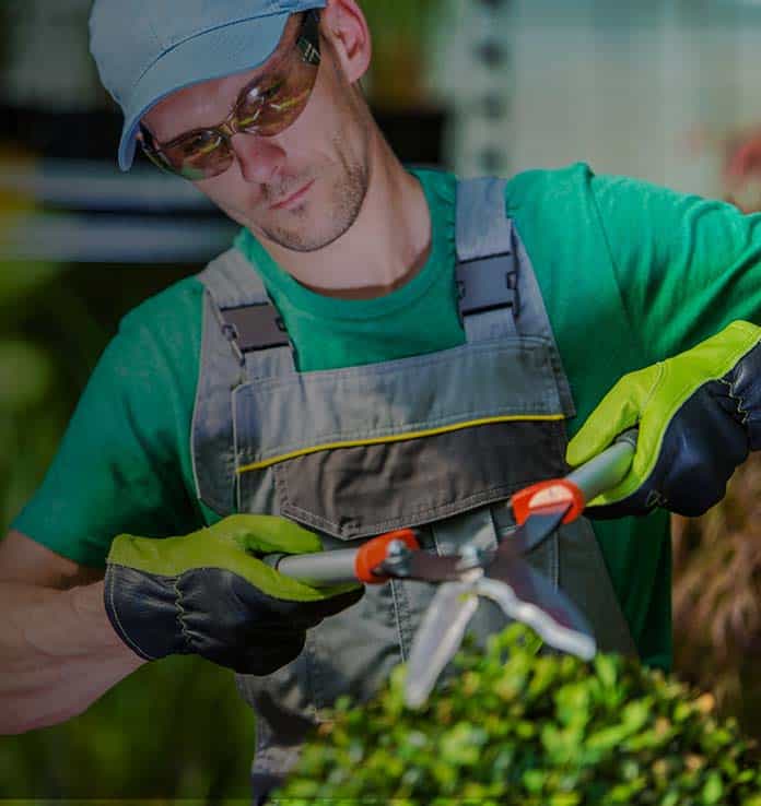 Assistent groenvoorziening regio Den Haag